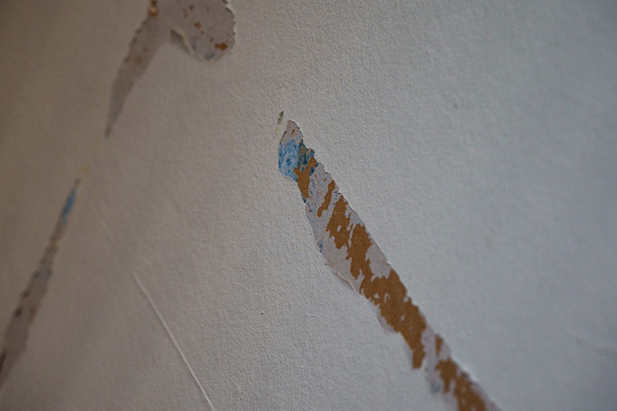 Storm Damage Repair service in Bridgeport, CT